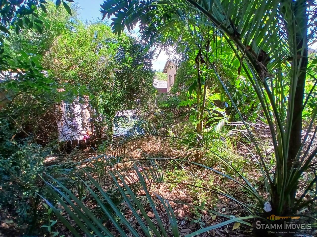 Terreno, 660 m² - Foto 12