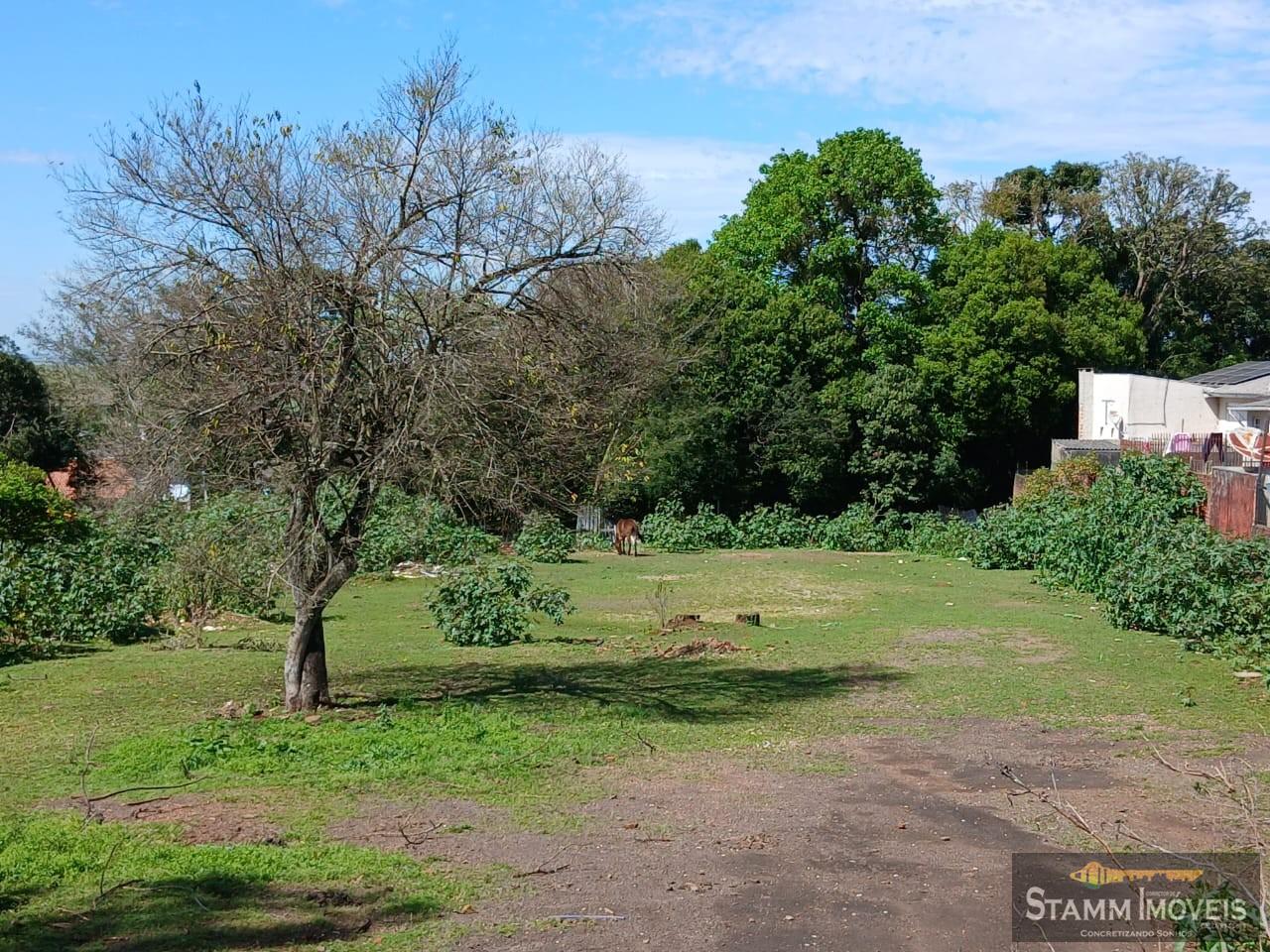 Terreno, 850 m² - Foto 14