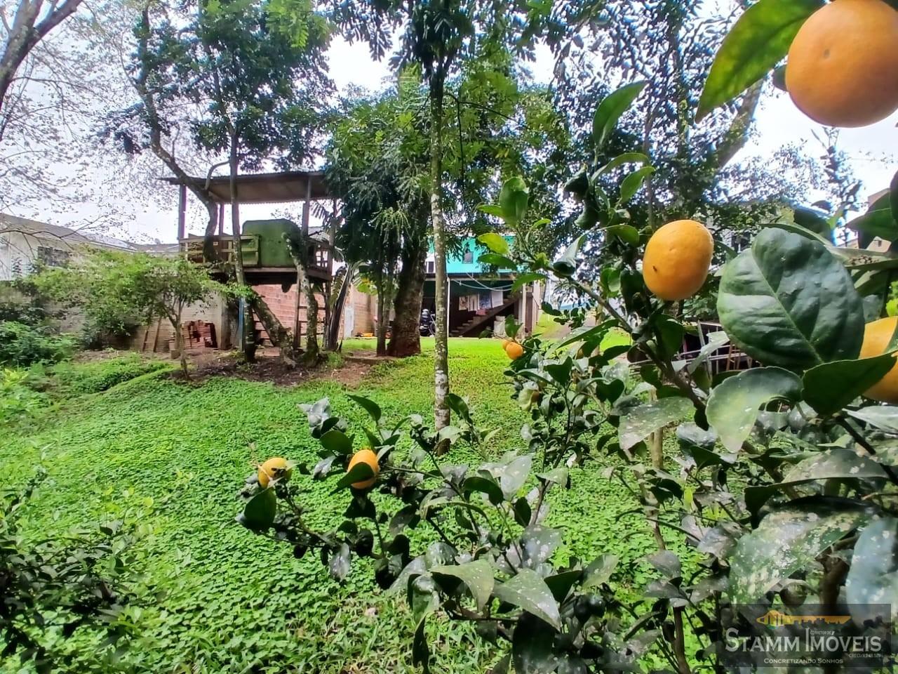 Casa, 3 quartos - Foto 36